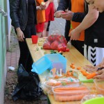 Sommercamp 2015 (63)