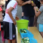 Sommercamp 2015 (82)