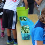 Sommercamp 2015 (84)